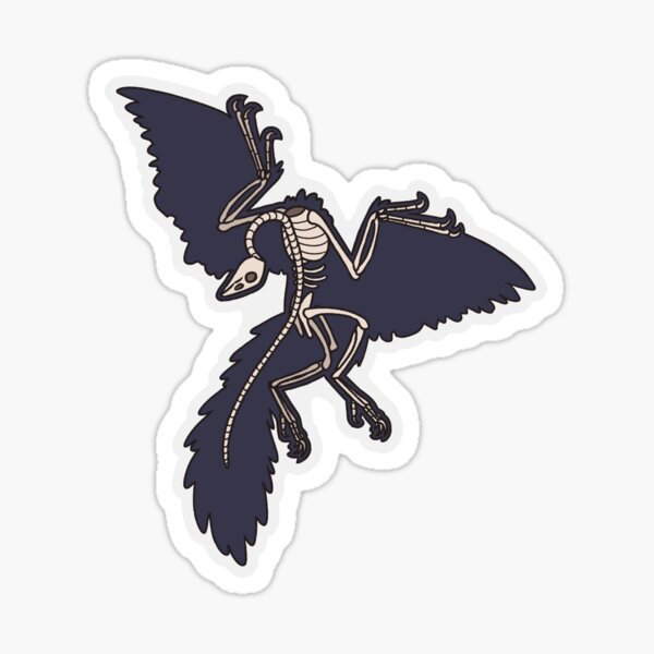 Item preview, Archaeopteryx Skeleton  designed and sold by DottieArts01.