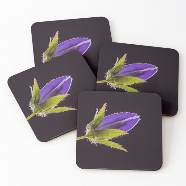 Item preview, Bellflower designed and sold by bernd49.