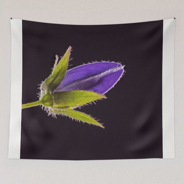 Item preview, Bellflower designed and sold by bernd49.