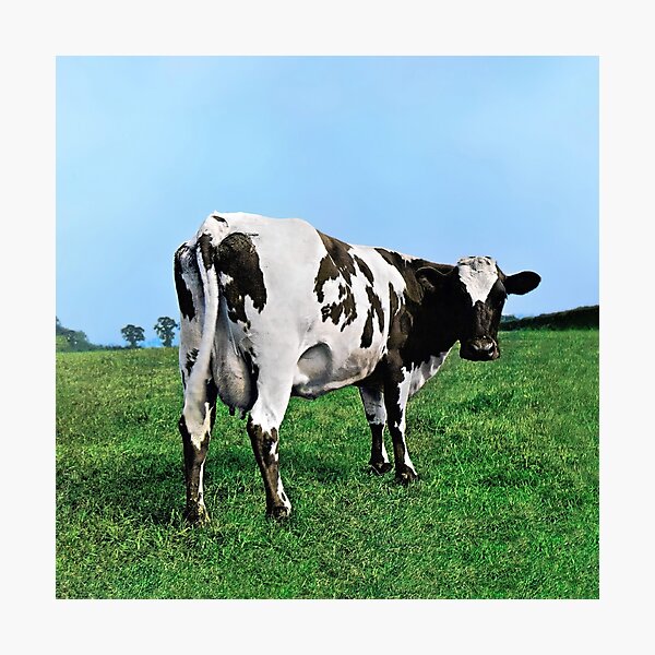 Atom Heart Mother (HQ) Photographic Print