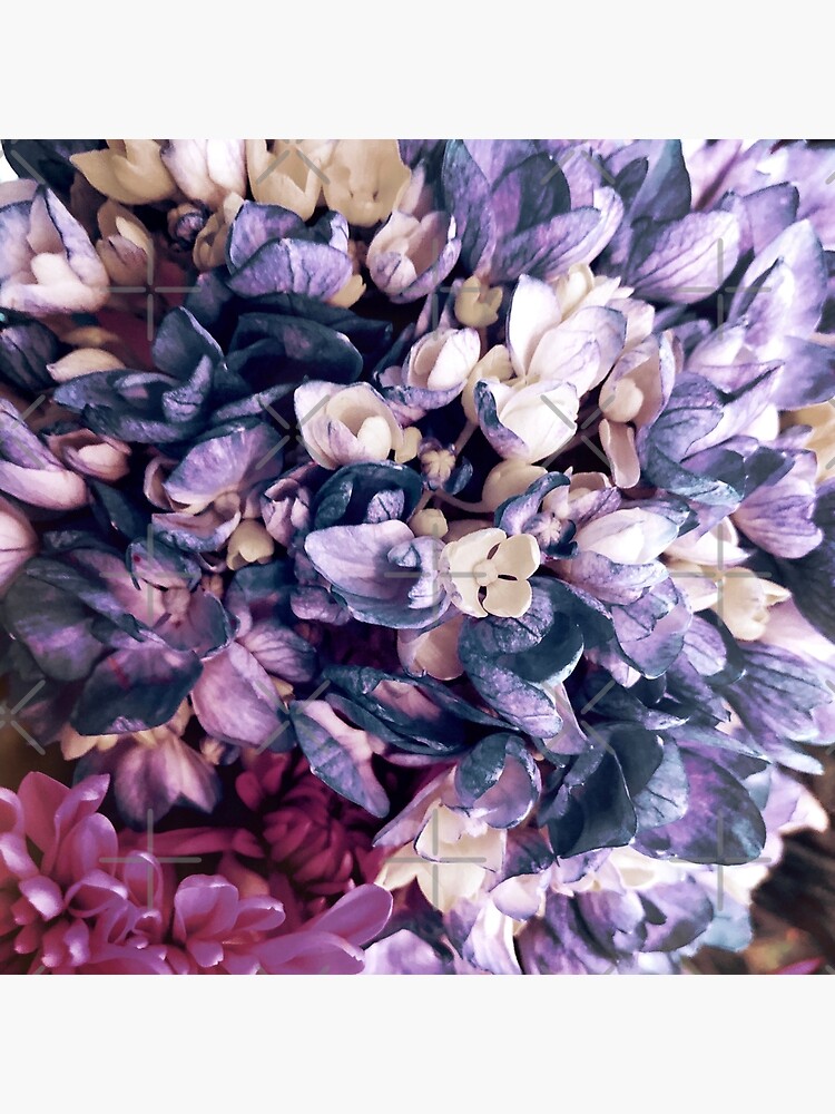 Thumbnail 2 of 2, Postcard, Purple Hydrangea Fields - Floral Bouquet designed and sold by OneDayArt.