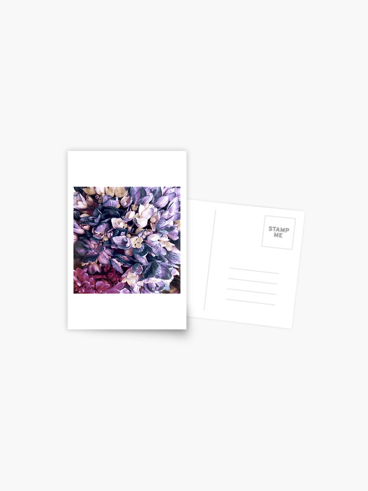 Thumbnail 1 of 2, Postcard, Purple Hydrangea Fields - Floral Bouquet designed and sold by OneDayArt.