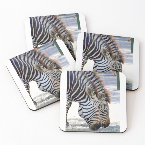 Item preview, Zebras grazing designed and sold by Jennifer  Sweeney.