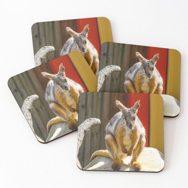 Item preview, Wallaroo sunning on rock designed and sold by Jennifer  Sweeney.