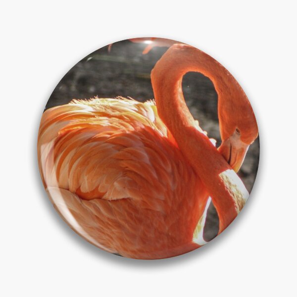 Item preview, flamingo siesta en la luz del sol designed and sold by Jennifer  Sweeney.