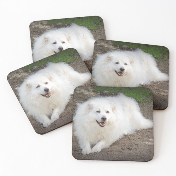 Item preview, Miley, my beautiful rescue Maremma Sheep Dog designed and sold by vette.