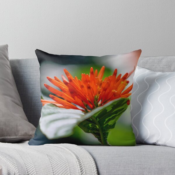 Item preview, Orange Bromeliad designed and sold by Jennifer  Sweeney.