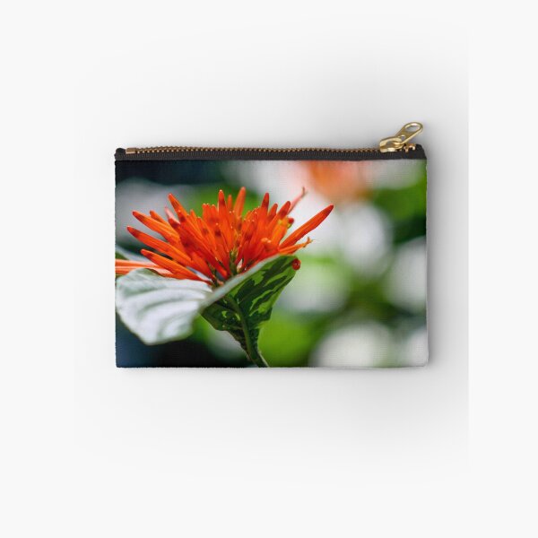 Item preview, Orange Bromeliad designed and sold by Jennifer  Sweeney.