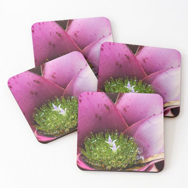 Item preview, Magenta Bromeliad designed and sold by Jennifer  Sweeney.