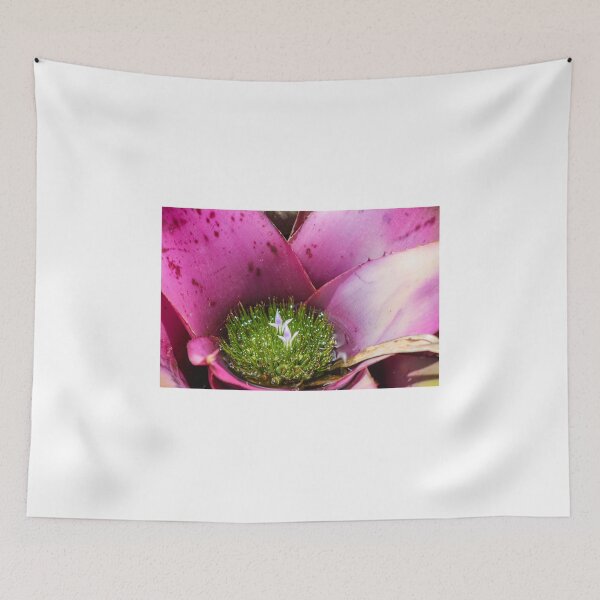 Item preview, Magenta Bromeliad designed and sold by Jennifer  Sweeney.