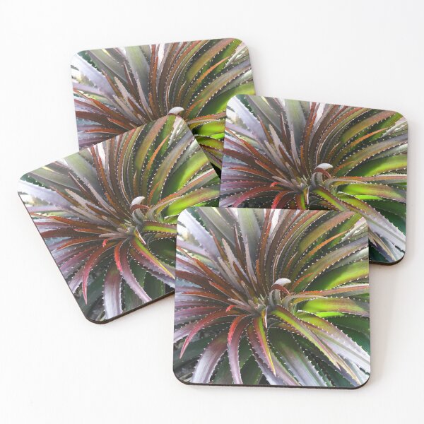 Item preview, Large Bromeliad designed and sold by Jennifer  Sweeney.