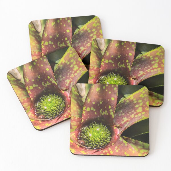 Item preview, purple and green bromeliad designed and sold by Jennifer  Sweeney.