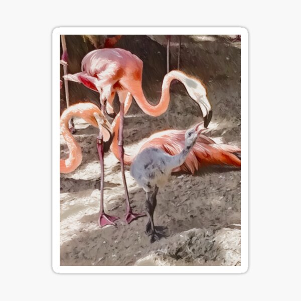 flamingo nxt japanese