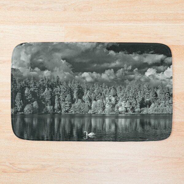 Item preview, swan on lost lagoon designed and sold by jackson photografix.