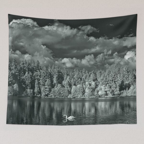 Item preview, swan on lost lagoon designed and sold by jackson photografix.