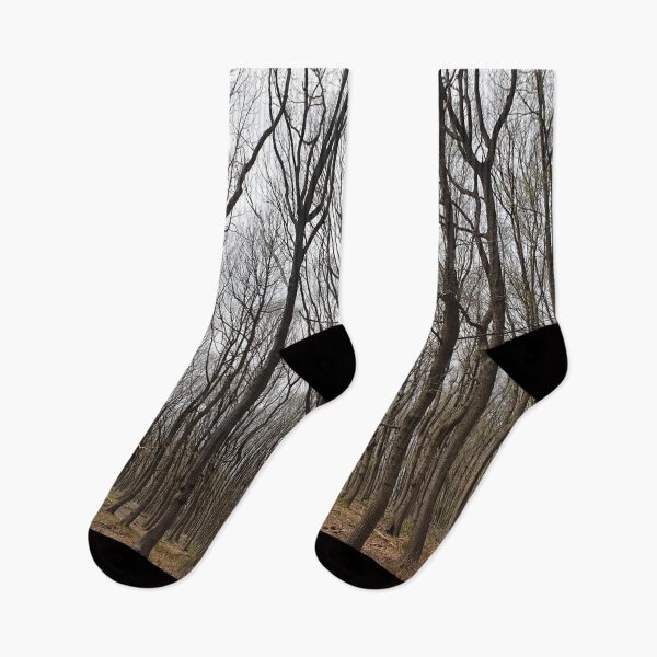 Item preview, Tall Trees in Forest designed and sold by AHMTheBeesTees.