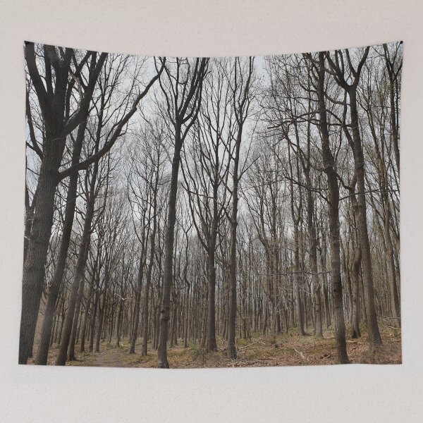 Item preview, Tall Trees in Forest designed and sold by AHMTheBeesTees.