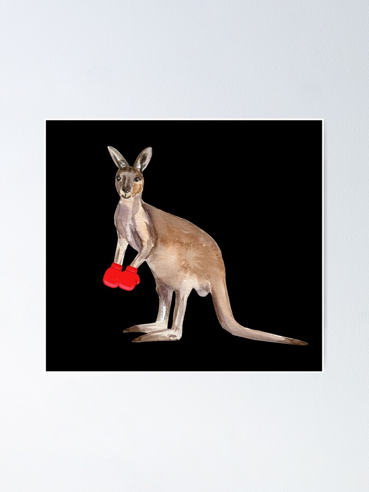 franktact | Redbubble Kangaroo Poster With by for Sale Boxing Gloves\