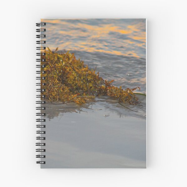Item preview, seaweed on the beach designed and sold by Jennifer  Sweeney.