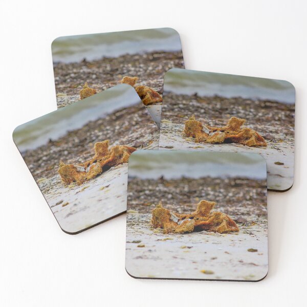 Item preview, Sponge on the beach designed and sold by Jennifer  Sweeney.