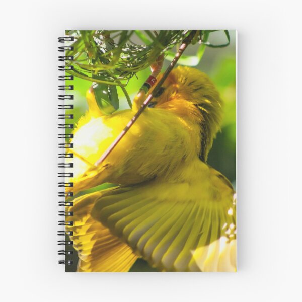 Item preview, yellow nesting bird designed and sold by Jennifer  Sweeney.
