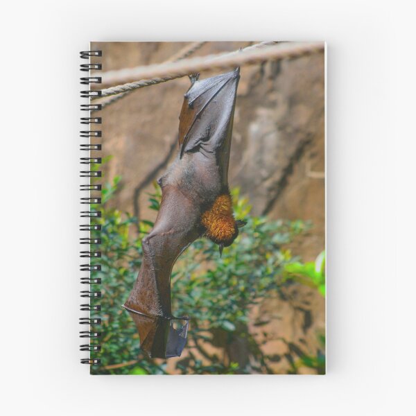 Item preview, bat designed and sold by Jennifer  Sweeney.
