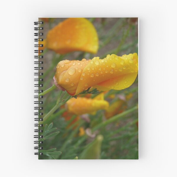 Item preview, Poppy designed and sold by HHImagery.