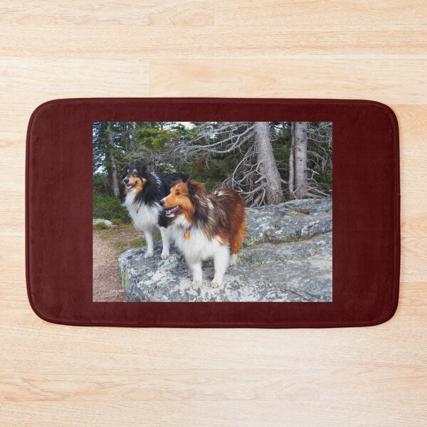 Item preview, On the Rock, Shelties designed and sold by LeRoyM.