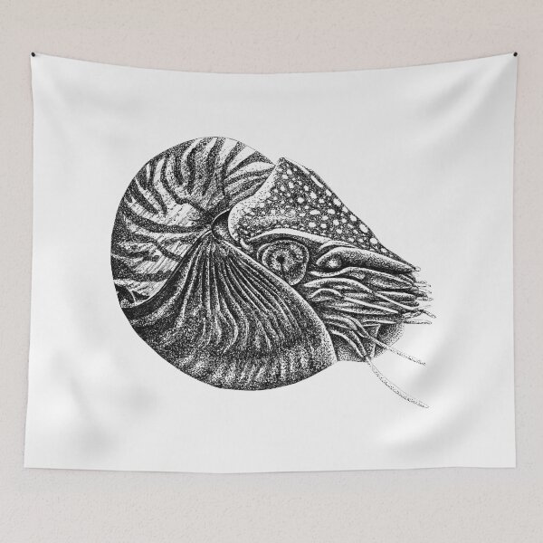 Item preview, Nautilus fish designed and sold by LorenDowding.
