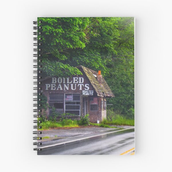 Item preview, Boiled peanuts shack designed and sold by Jennifer  Sweeney.