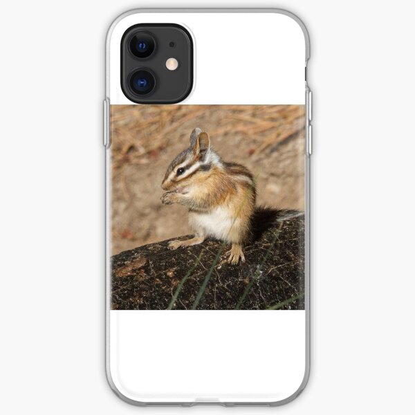 Pretty as a chipmunk iPhone Soft Case