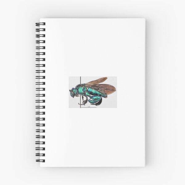 Item preview, Orchid Bee. Exaerete trochanterica designed and sold by RapTops.