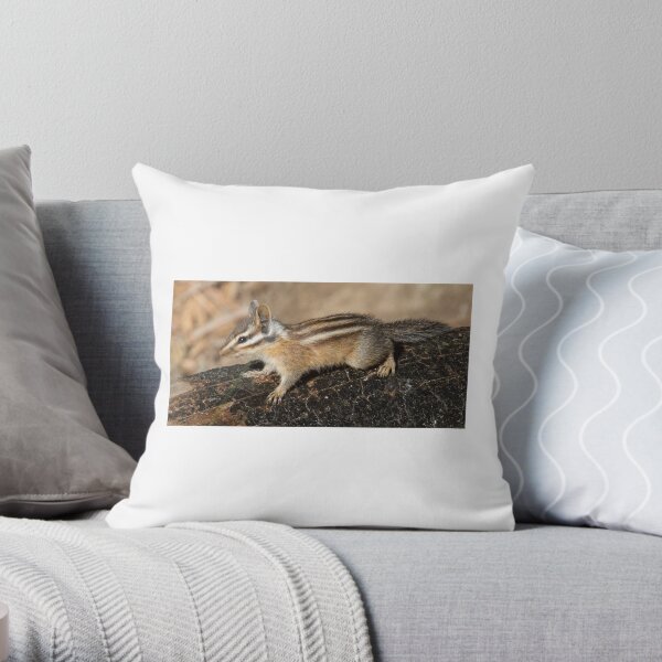 Chipmunk in the sun Throw Pillow