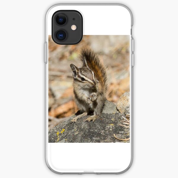 Hello chipmunk! iPhone Soft Case