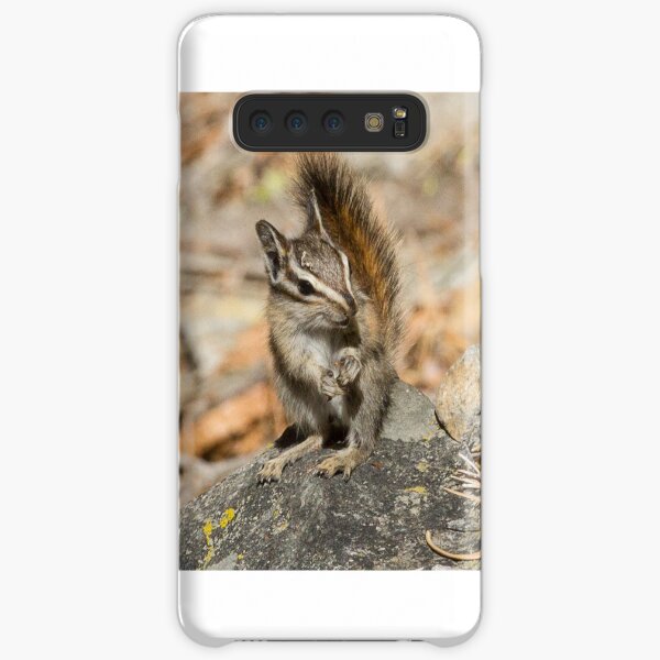 Hello chipmunk! Samsung Galaxy Snap Case