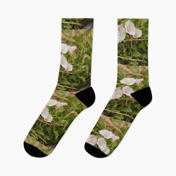 Item preview, White Bindweed designed and sold by Emmaline Jones.