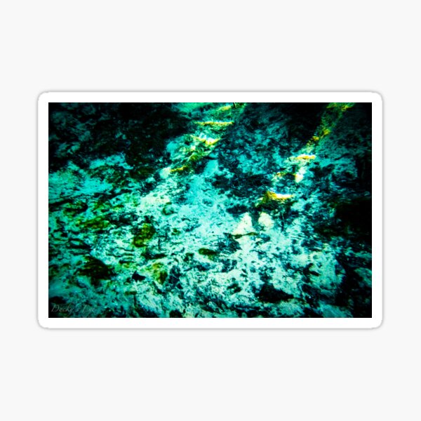 "Underwater at Ginnie Springs" Sticker by Ducky988 Redbubble