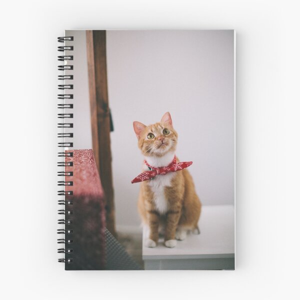 Item preview, RED BOW KITTEN designed and sold by TRUMP8.