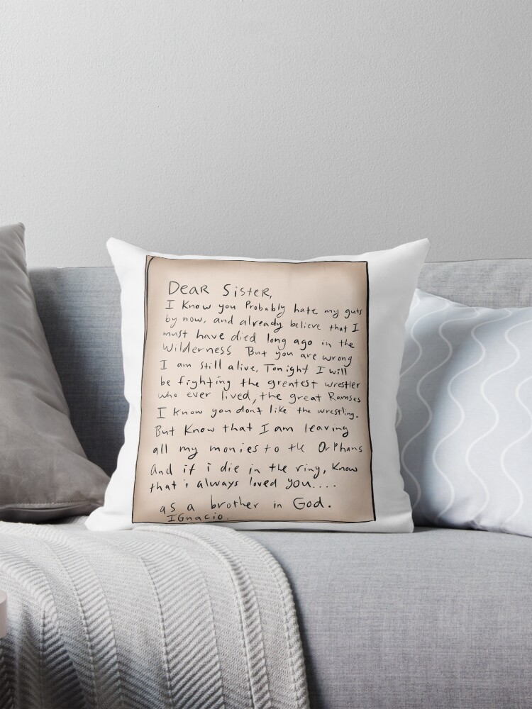 I hate throw pillows best sale