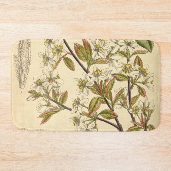 Item preview, Amelanchier oligocarpa 139 8499 designed and sold by EsotericBotanic.