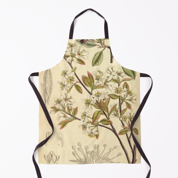Item preview, Amelanchier oligocarpa 139 8499 designed and sold by EsotericBotanic.