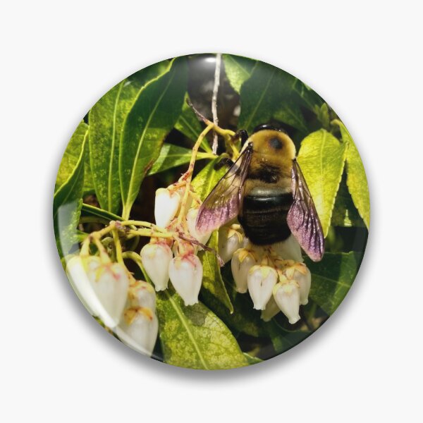 Artikelvorschau, Einheimische Hummel, die ein Blütenfarbfoto-Design bestäubt entworfen und verkauft von EarthArtDesigns.