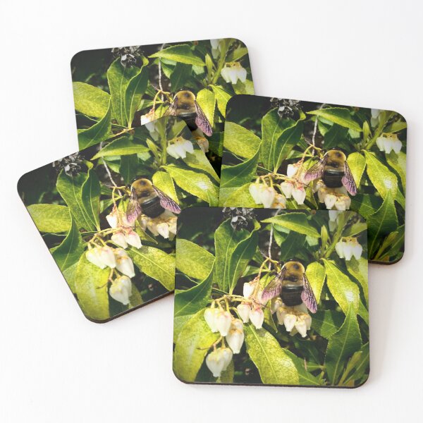 Item preview, Native Bumblebee Pollinating A Blossom Color Photo Design designed and sold by EarthArtDesigns.