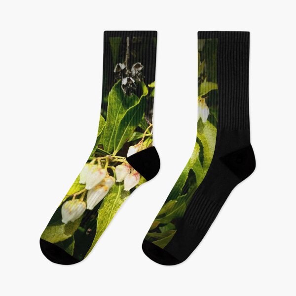 Item preview, Native Bumblebee Pollinating A Blossom Color Photo Design designed and sold by EarthArtDesigns.