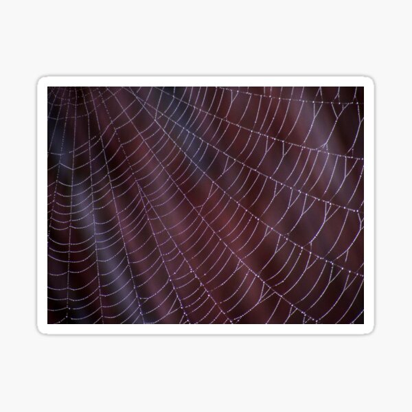Dewy web Sticker