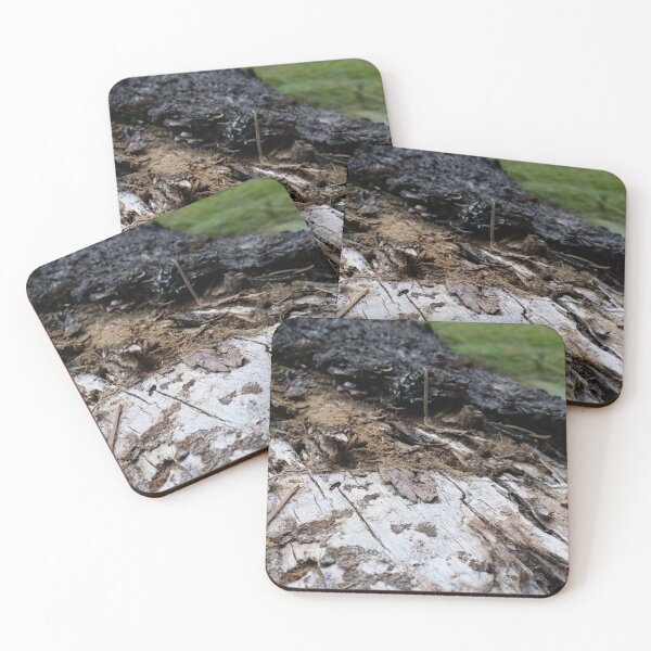 Item preview, Fallen Log Joseph Oregon designed and sold by KahviCoffee.