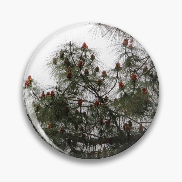 Item preview, California Cones designed and sold by heatherfriedman.