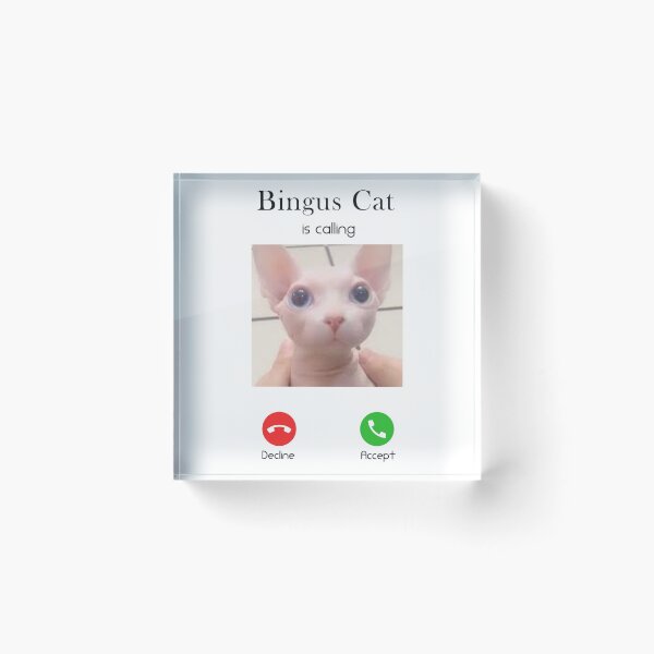 Item preview, Bingus Cat is calling, Bingus cat memes designed and sold by Aymanerachif.