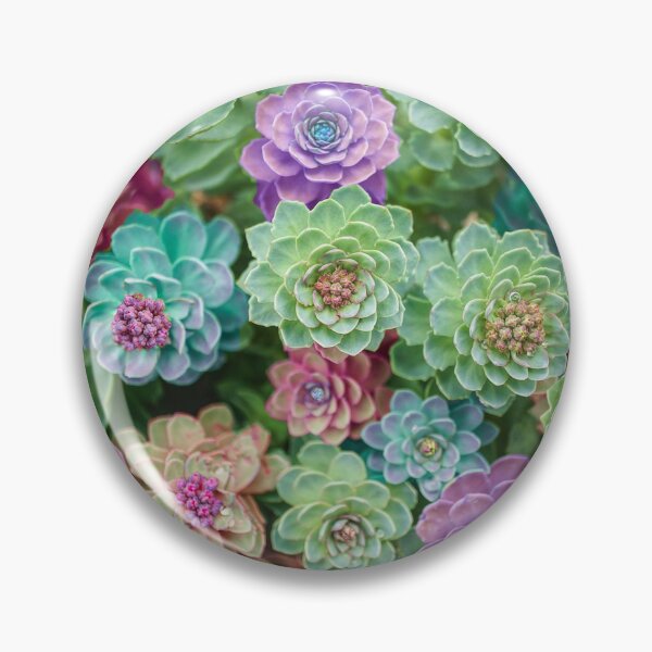 Item preview, Spectacular Sedums designed and sold by Alisonchambers2.