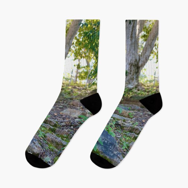 Item preview, Forest Garden Path designed and sold by Emmaline Jones.